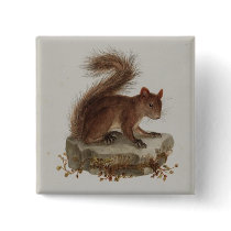 Vintage Red Squirrel Button