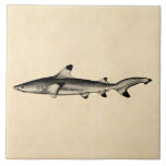 Vintage Reef Shark Illustration - Black Tipped Tiles