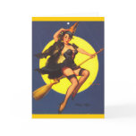 Vintage Retro Gil Elvgren Pin Up Girl cards
