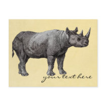 Vintage Rhino Post Card
