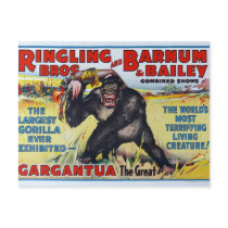 Vintage Ringling Bros Postcard