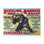 Vintage Ringling Bros Postcard