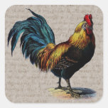 Vintage Rooster and Antique Text Collage - Custom Sticker