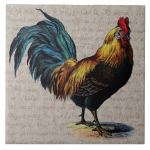 Vintage Rooster and Antique Text Collage - Custom Tiles