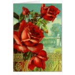 Vintage Rose Birthday Card