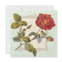 Vintage Rose Botanical Birthday Garden Party Custom Announcement