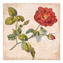 Vintage Rose Botanical Birthday Garden Party Personalized Invite
