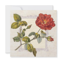 Vintage Rose Botanical Birthday or Annivesary Custom Invites