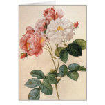 Vintage Rose Greeting Card
