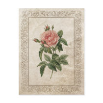 Vintage Rose I postcard