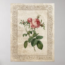 Vintage Rose III poster