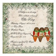 Vintage Rose Owls Baby Invitation