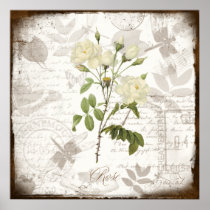 Vintage Rose Posters