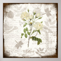 Vintage Rose Posters