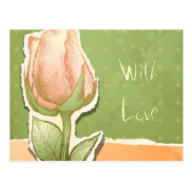 Vintage rosebud in green, postcard