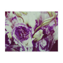 Vintage Roses III Postcard