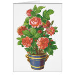 Vintage Roses in A Bucket Customizable Cards