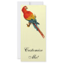 Vintage *Scarlet Macaw* Parrot Desing rack cards