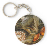 Vintage Sea Life keychains