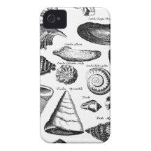 Vintage Seashells iPhone 4 Covers