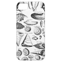Vintage Seashells iPhone 5 Cases