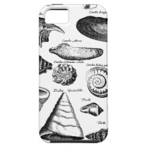 Vintage Seashells iPhone 5 Cover