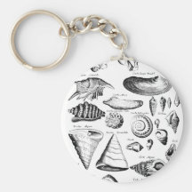 Vintage Seashells Key Chains