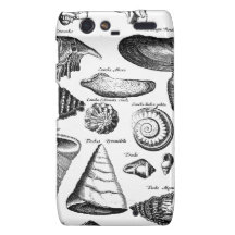 Vintage Seashells Motorola Droid RAZR Cases