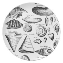 Vintage Seashells Party Plate