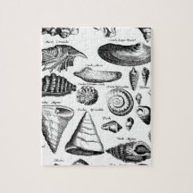 Vintage Seashells Puzzles
