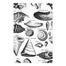 Vintage Seashells Stationery