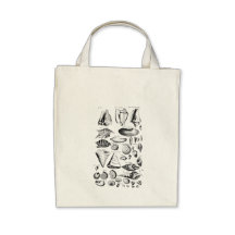 Vintage Seashells Tote Bag