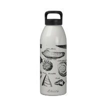 Vintage Seashells Water Bottles