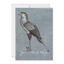 Vintage Secretary Bird