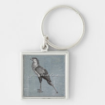 Vintage Secretary Bird Keychain