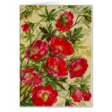 Vintage Seed Packet Catalogue Cards, Postage, Gift