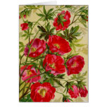 Vintage Seed Packet Catalogue Cards, Postage, Gift