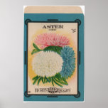 Vintage Seed Packets posters