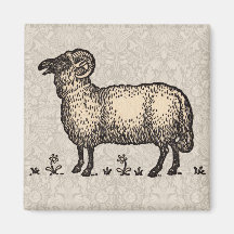 Vintage Sheep Farm Animal Illustration Fridge Magnets