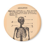 Vintage Skeleton Definition magnets