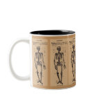 Vintage "Skeleton" Definition mugs