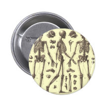 Vintage Skeleton Diagrams Pin