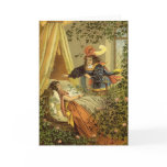 Vintage Sleeping Beauty by Carl Offterdinger Cards