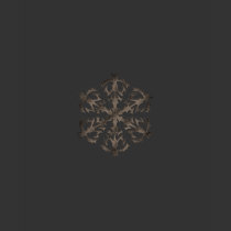 Vintage Snowflake t-shirts