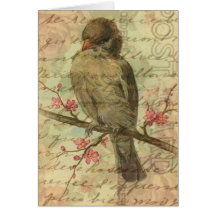 Vintage Sparrow Cards