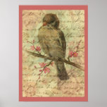 Vintage Sparrow posters