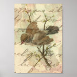 Vintage Sparrow with Handwritten Background Print