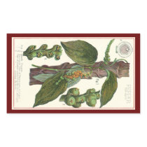 Vintage Spice; Black Pepper Rectangle Stickers
