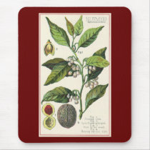 Vintage Spice; Nutmeg Plant, Fruit, Seeds Mouse Pads