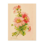 Vintage Spring Bouquet Postcard